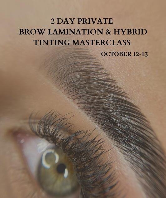 2 DAY PRIVATE BROW LAMINATION + HYBRID TINT MASTERCLASS