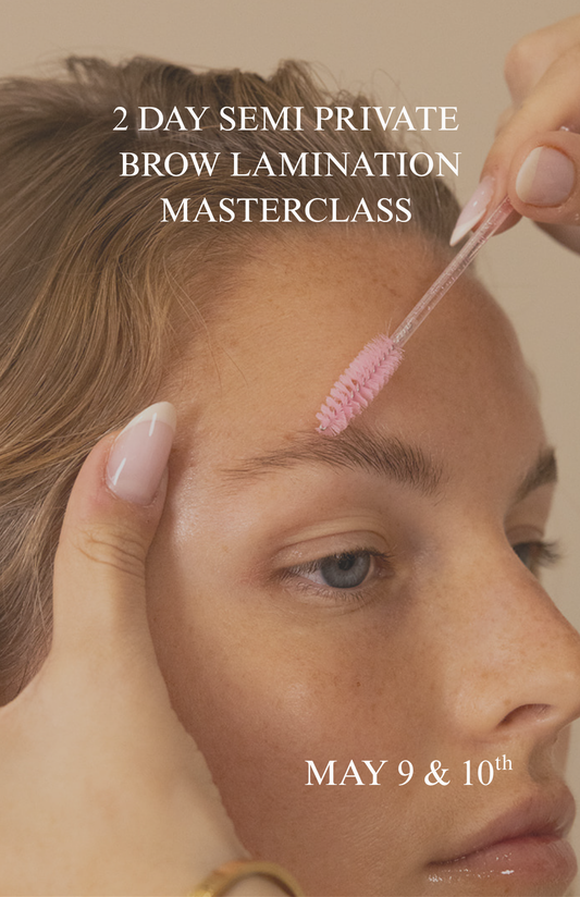 2 DAY SEMI PRIVATE BROW LAMINATION + HYBRID TINT MASTERCLASS